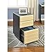 Ameriwood Home Altra Furniture 9523096 Pursuit Mobile File Cabinet, Gray