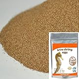 New Unbrand Brine Shrimp Eggs (Artemia Cysts) of 90% Hatch Rate Fish Food (100g.)