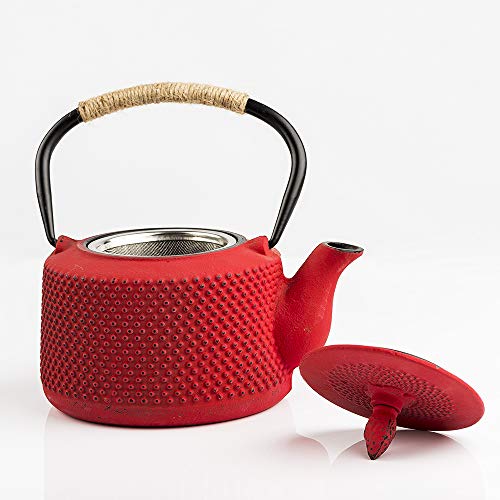 Tea Kettle, Japanese Cast Iron Teapot with Stainless Steel Infuser