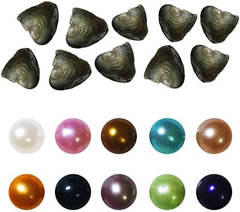 10Pcs Freshwater Cultured Love Wish Pearl Oyster with Round Pearl Inside Birthday Gifts 10 Colors (7-8mm)