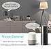Wi-Fi Smart Plug, 2 Pack Mini Smart Outlets Sockets, No Hub Required, Works with Amazon Alexa Echo Google Assistant, Multi Function with Timing Wifi Enabled Remote Control