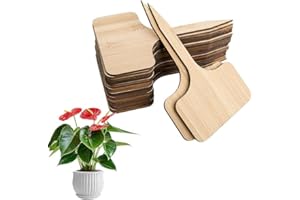 Nivofu 40pcs Plant Labels, Wooden T-Type Plant Tags, Waterproof Garden Labels for Seeds Pots Herbs Flowers Vegetables