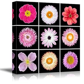 Wall26-Canvas Wall Art-Black Background Flower Theme for Living Room-Giclee Painting Wall Bedroom Living House Decoration Home Art - 12x12 inches