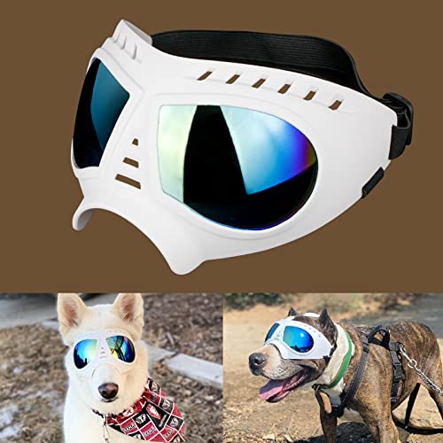 The Best Dog Goggles Dogtime