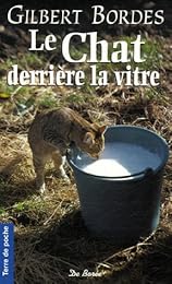 Le  chat derrière la vitre