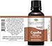 Plant Therapy Copaiba Oleoresin 30 mL (1 oz) 100% Pure, Undiluted, Therapeutic Grade