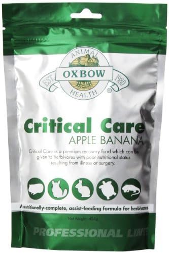 Oxbow Critical Care Apple/Banana Pet Supplement, 1-Pound by Lambriar Vet