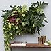 Living Wall Planter INDOOR/OUTDOOR USE w/Reservoir  (Color: Black) Vertical Garden (Modular, Sustainable, Eco, Green) Hanging Planter
