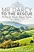 Mr Darcy to the Rescue: A Pride and Prejudice Regency Variation