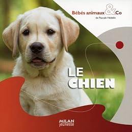 Le  chien