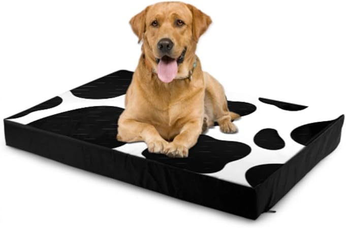 black and white cow dog