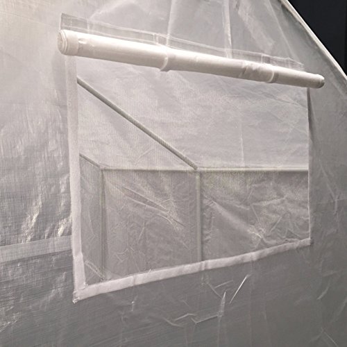 King-Canopy-GH1010-10-Feet-by-10-Feet-Fully-Enclosed-Greenhouse-Clear