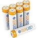 SunLabz Rechargeable Batteries, Ultra-Efficient NiCD AA (8 Pack)