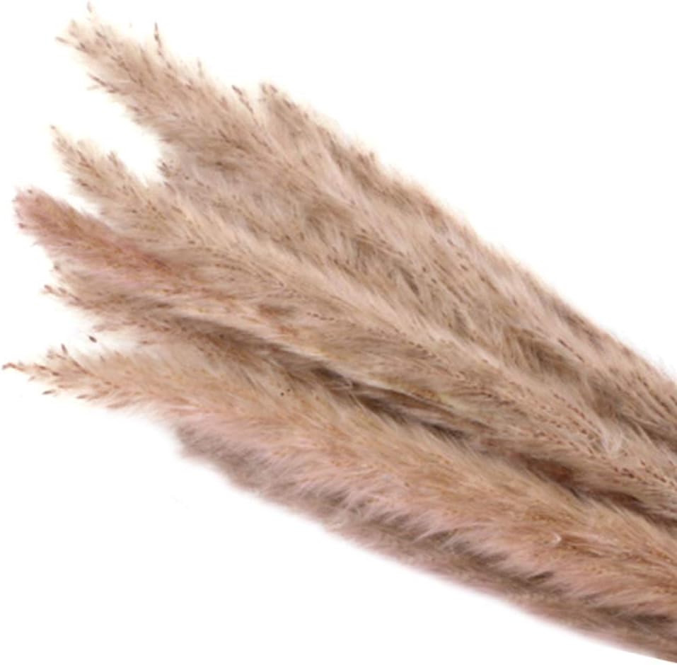 LYXMY 15 Pcs Dried Flower-Natural Dried Small Pampas Grass,Durability and Natural,for Home,Dining Room,Hotel,Store,Wedding etc Decor