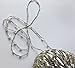 Silvery-White with Gold Glitz Ladder Ribbon Yarn Dark Horse Beautiful #A101 Metallic Ladder