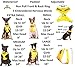 Nervous (Give Me Space) Yellow Colour Coded Non-Pull Front and Back D Ring Padded and Waterproof Vest Dog Harness Prevents Accidents by Warning Others of Your Dog in Advance (S)