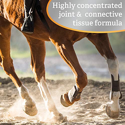 Absorbine Flex+Max Horse Joint Supplement Pellets, Highly Palatable, Comprehensive Equine