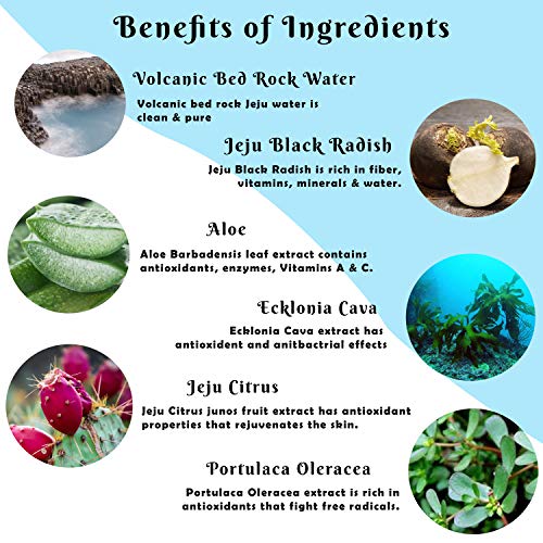 [ACCOJE] Best Korean Skin Hydrating Aqua Gel Cream, Moisturizing Cream