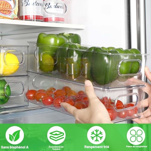 Royouzi Pack of 10 Fridge Storage Organizers, Transparent | Organisation Box with Handle & Lid, Fridge Storage Bin for Kitchens, Cupboards