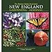 The Boston Globe Illustrated New England Gardening Almanac: A Gardener's Weekly Companion by 