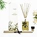 LOVSPA Reed Diffuser Set, Lush Palm & Jasmine Scented Oil Diffuser with Sticks, Home Fragrance Accessories for Bathroom Shelf Decor, Aroma Diffusers for Home or Office Desk, USA Made
