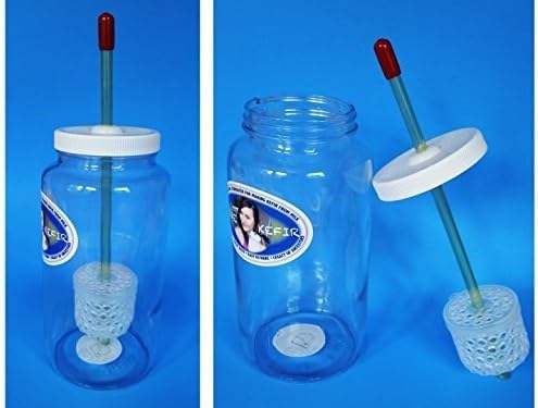 Kefir Fermenter (0.6l/20oz) by Kefir Fermenter