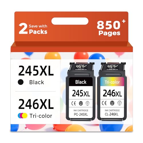 Relcolor Compatible Ink Cartridge Replacement for Canon 245XL 246XL (Black Color 2 Pack) 245 246 XL PG245 CL246 MX490 MG2522 MX492 TR4520 TR4500 MG2520 TS3300 TS3322 MG2525 TR4522 TS3100 TS3122 TS3320