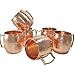 Avs Stores Pure copper hammered cup Moscow Mule Set of 6
