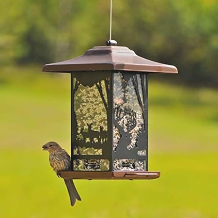 Amazon Com Outdoor Hanging Bird Feeder Premium Quality Brown