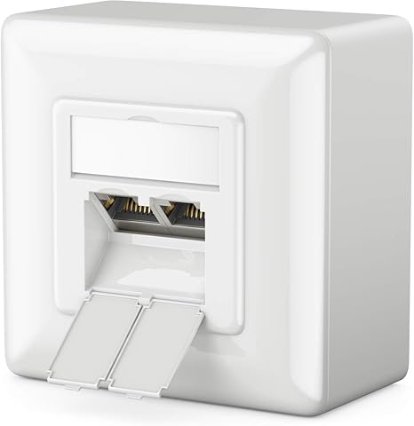 deleyCON 1x Cat 6 Universal Socket de Red: Amazon.es: Electrónica