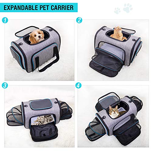 1 Siivton+Carrier+Expandable+Airline+Approved