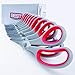 Best 8 Inch Stainless Steel Blade Scissors, Pack of 10