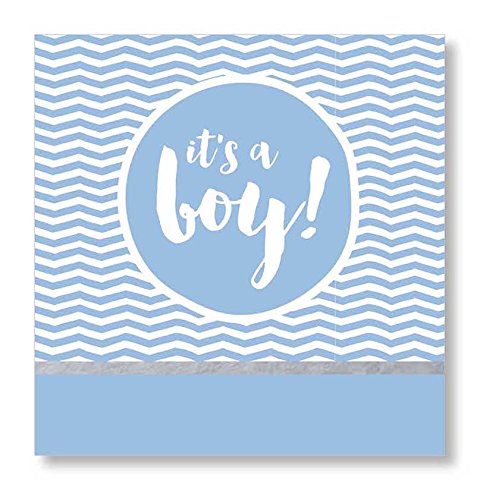 C.R. Gibson Beverage Napkins, It's a Boy, 20 Count