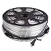 DELight 150ft LED Rope Light Valentines Home Holiday Party Disco Restaurant Cafe Decor 2 Wire 1620pcs Bulbs Blue