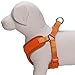Blueberry Pet 4 Colors Better Basic Dog Harness Vest, Orange Fusion, Chest Girth 16