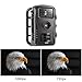LESHP Trail Hunting Camera Wildlife Camera with 8MP 720P HD Time Lapse 33ft 70° Wide Angle Infrared Night Vision 26pcs IR LEDs 2.4