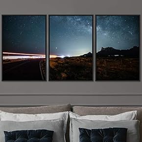 signwin 3 Piece Framed Canvas Wall Art Colorful...