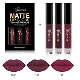 3PCS/Set New Fashion Waterproof Matte Liquid Lipstick Cosmetic Sexy Lip Gloss Kit WensLTD (A)