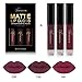 WensLTD 3PCS/Set Waterproof Matte Liquid Lipstick Cosmetic Sexy Lip Gloss Kit (A)