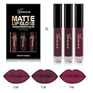 3PCS/Set New Fashion Waterproof Matte Liquid Lipstick Cosmetic Sexy Lip Gloss Kit WensLTD (A)