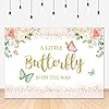 Lofaris Butterfly Backdrop Little Girl Pink Floral Golden Dots Baby Shower Photography Background Pregnancy Flowers Baby…