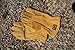 Wells Lamont 1201 Water Resistant Leather Work Gloves, Grain Cowhide, Palm Patch, HydraHyde Technology