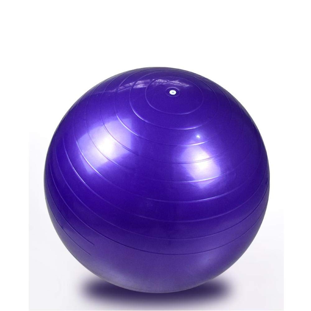 Ssery Fitness Pelota de Ejercicio 65CM Balón de Ejercicio Fitness ...