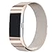 bayite Milanese Loop Bands Compatible Fitbit Charge 2, Stainless Steel Magnet Lock Metal, Champagne Gold Large