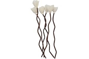 NONGCUNREN 30Pcs Premium Brown Wavy Rattan Reeds add Through Grass Flowers Fragrance Diffuser Stick Replacement Refill Sticks