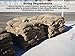 Sandbaggy Burlap Sand Bag - Size: 14