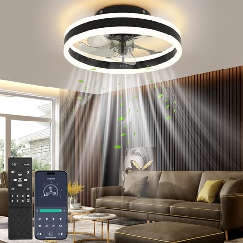 Nalezuns Ceiling Fan with Lights, Reversible Remote, 6 Speeds Modern Bedroom Fan Light, Quiet Dimmable Small Ceiling Light for Living Room, Black, 40cm