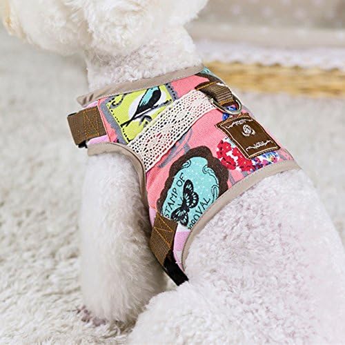 Pet Club No Pull Dog/Cat Harness Leash Set Escape Proof Walking, Super Comfort Fully Adjustable Double Padded Step in Dog Harness, Cat Dog Training Collar