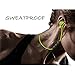 PLAY X STORE Wireless Bluetooth 4.0 Earbuds Sports Headphones Sweatproof In-Ear with Mic