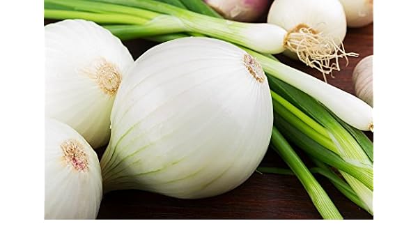 BIO - Cebolla blanca de invierno